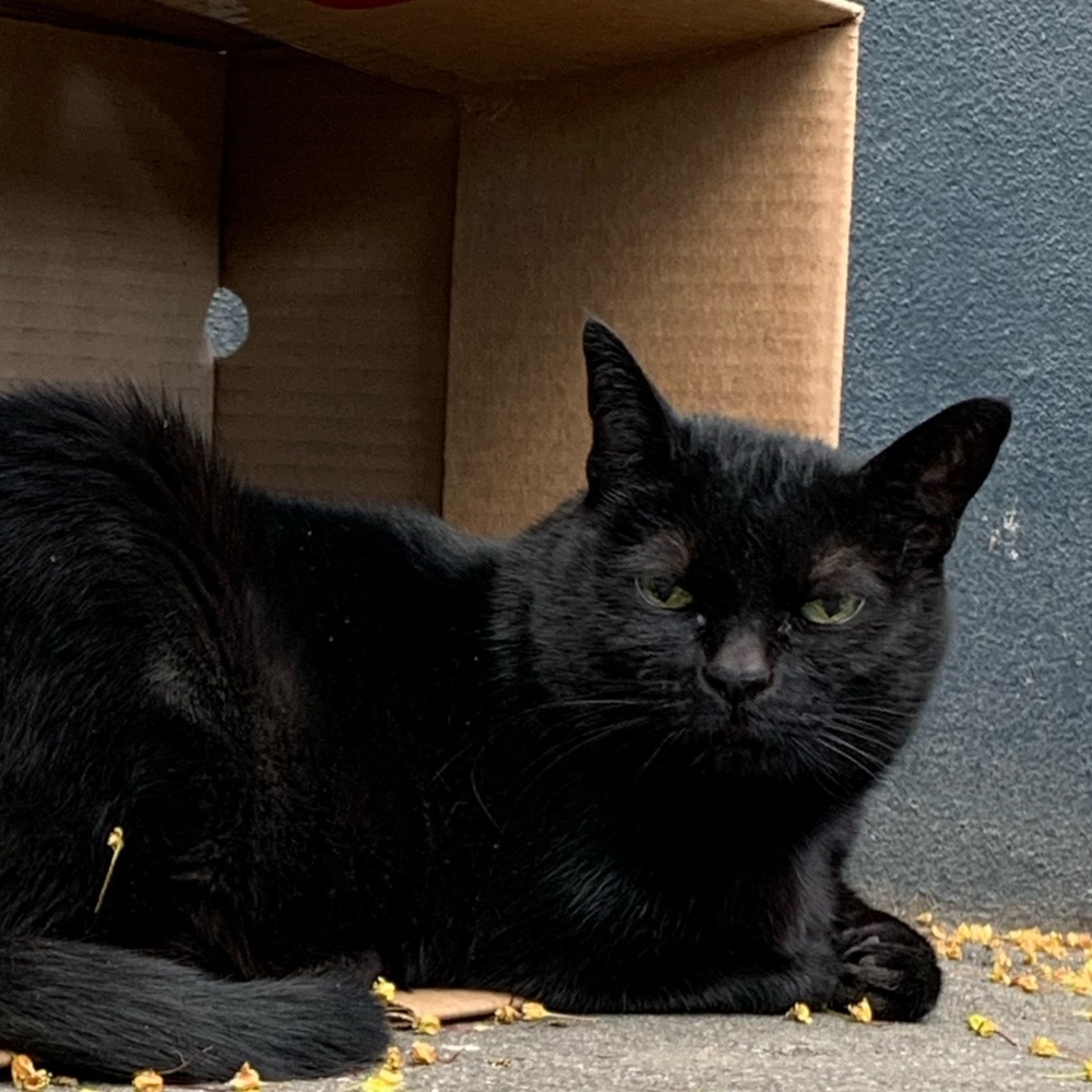 Meet your Posher, Hope